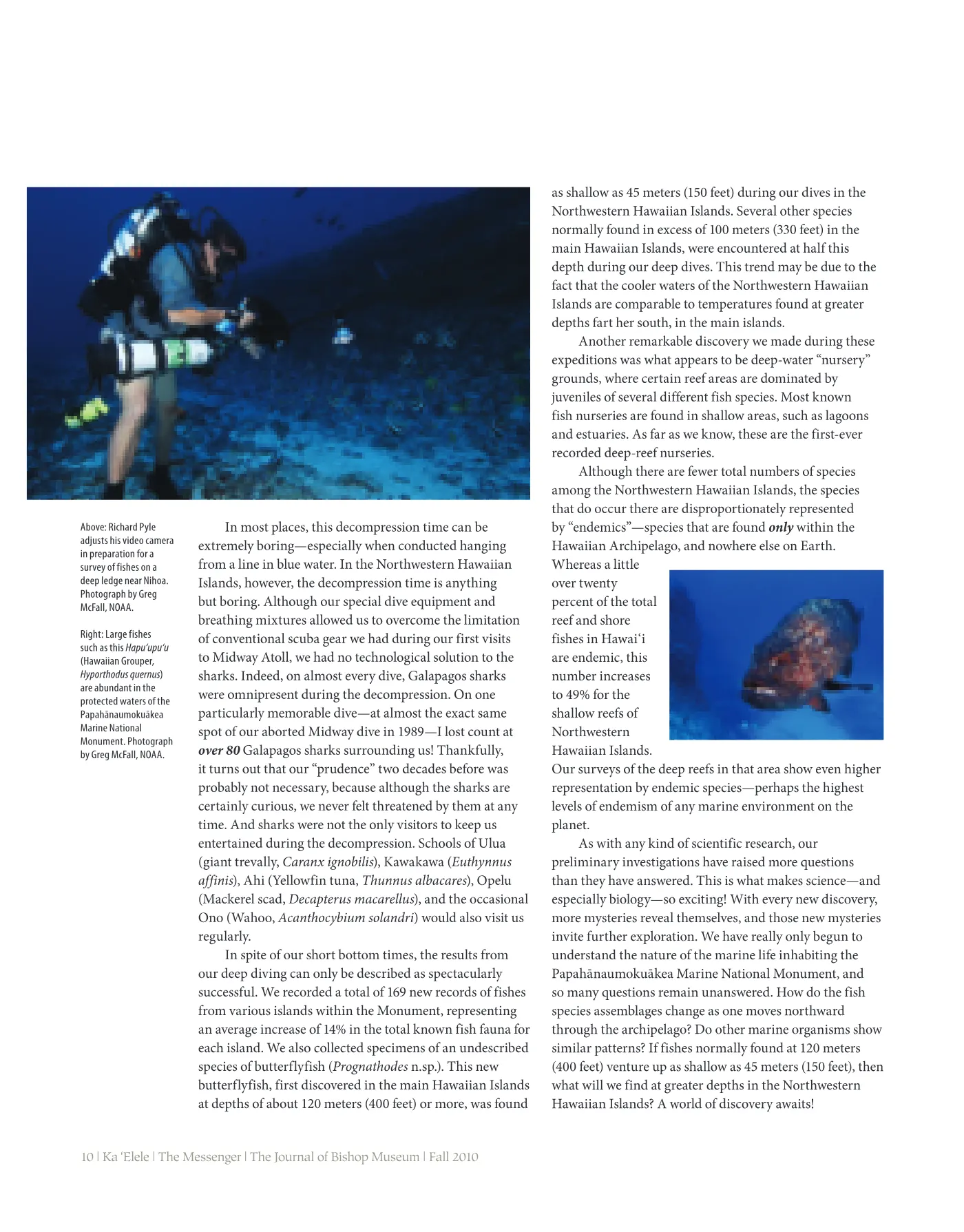 Ka ʻElele Fall 2010, page 10