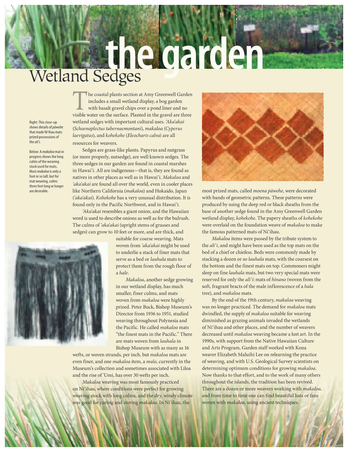 Ka ʻElele Fall 2010, page 12
