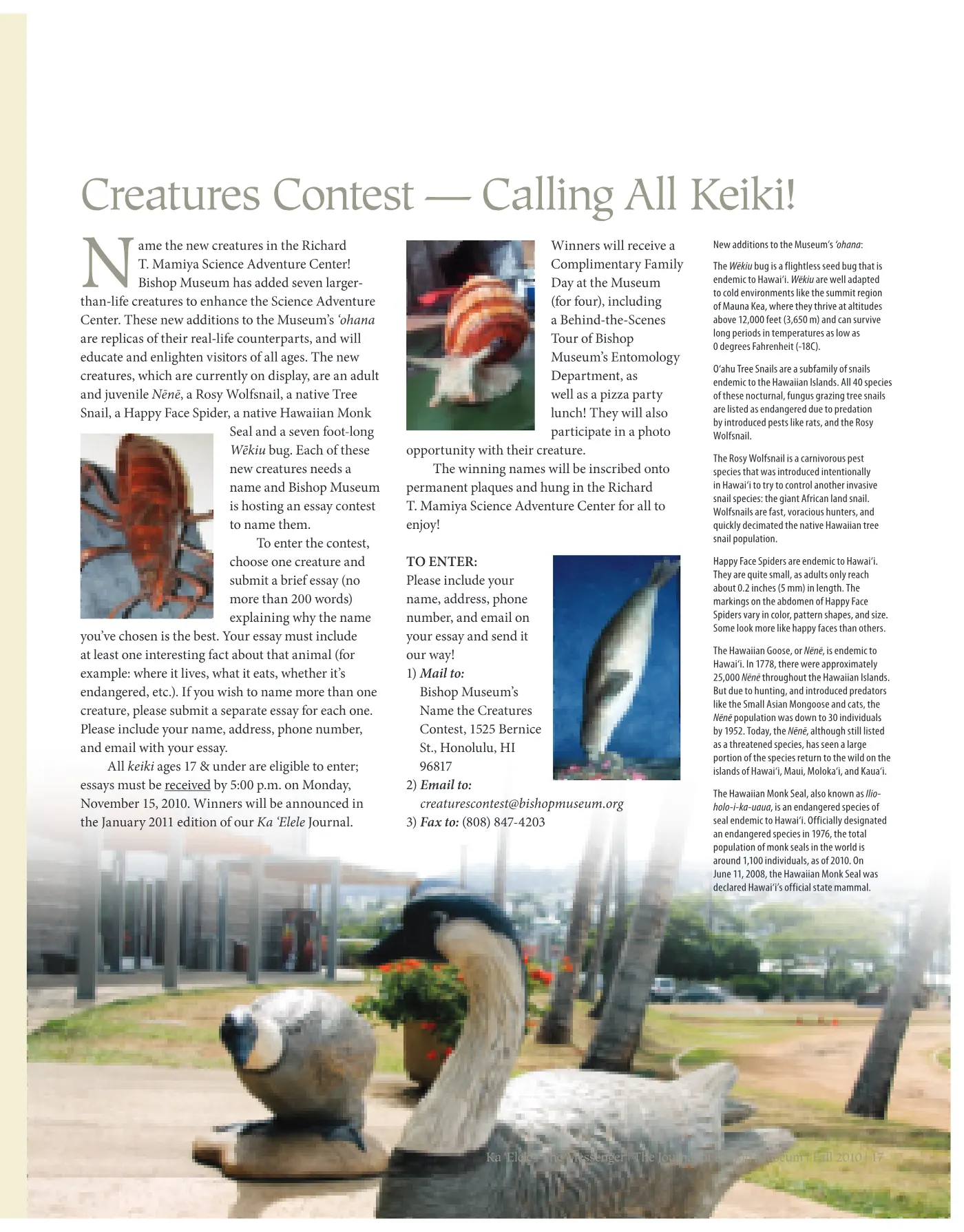 Ka ʻElele Fall 2010, page 17