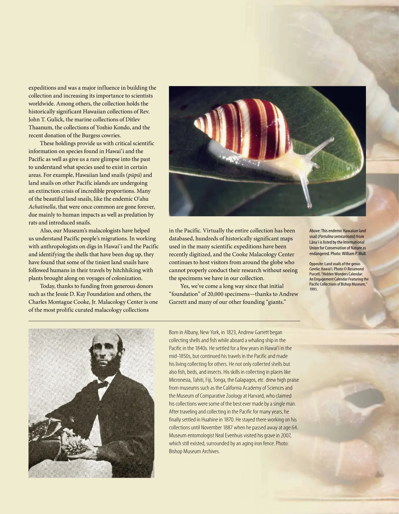 Ka ʻElele Fall 2011, page 11