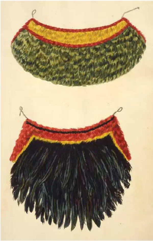 Photograph from Ka ʻElele, Summer 2011, page 15