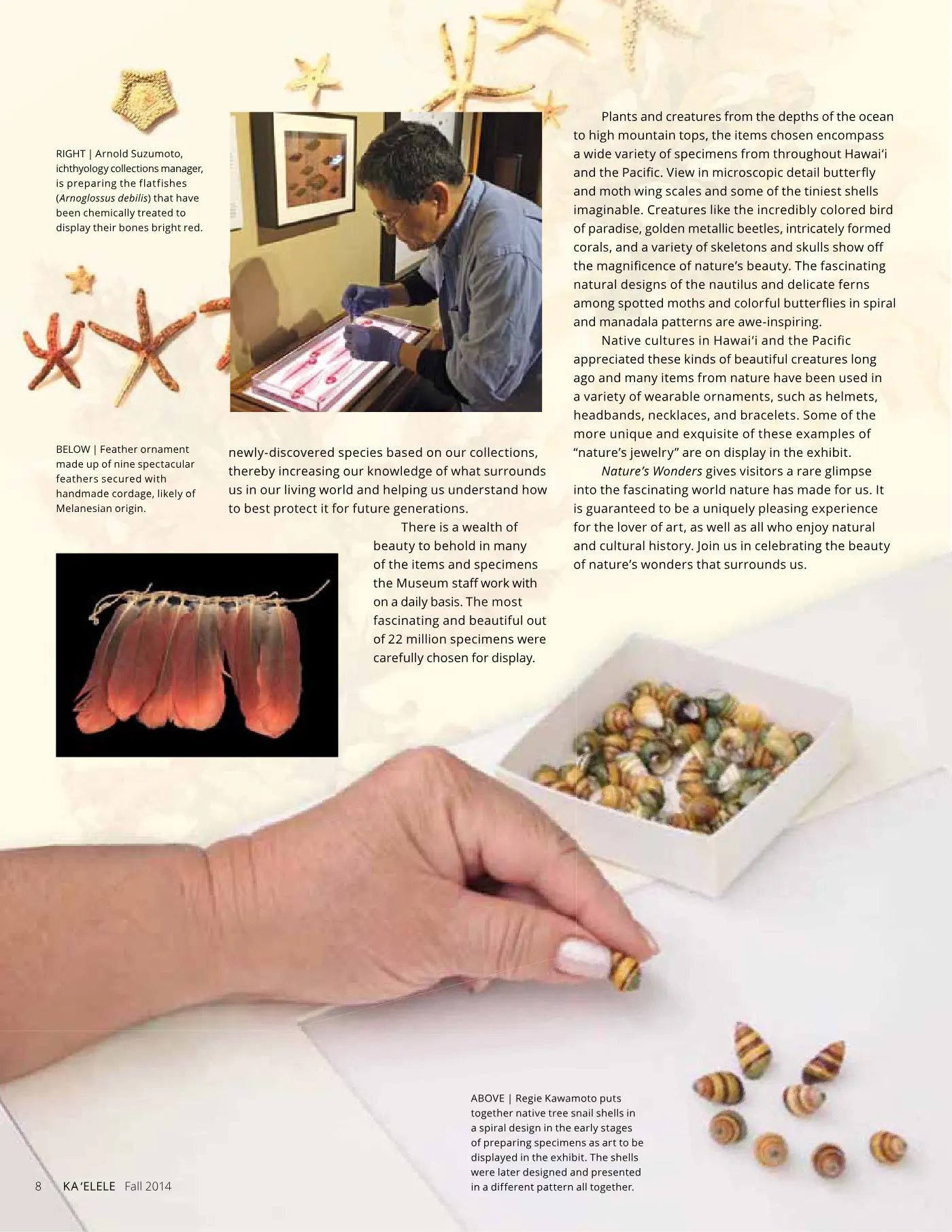 Ka ʻElele Fall 2014, page 8