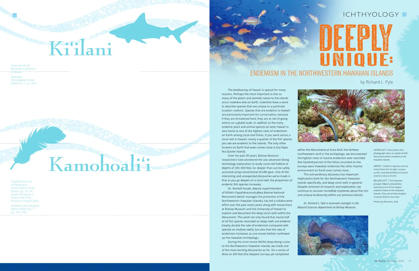 Ka ʻElele Summer 2016, page 6