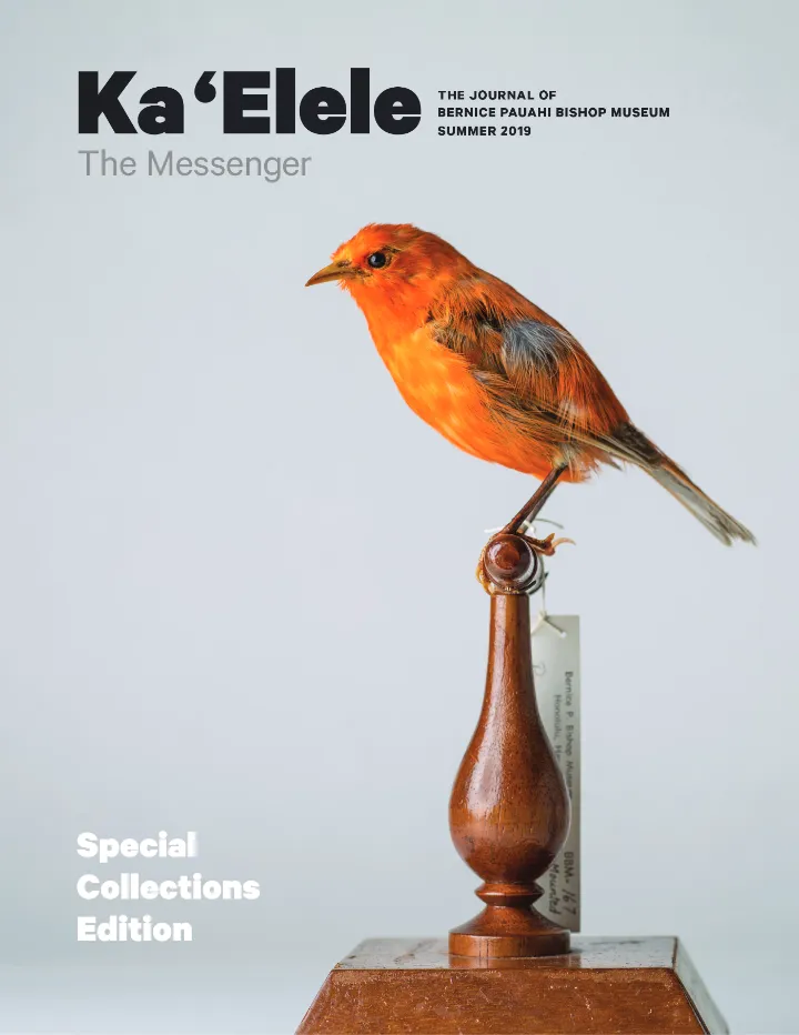 Cover of Ka ʻElele, Summer 2019