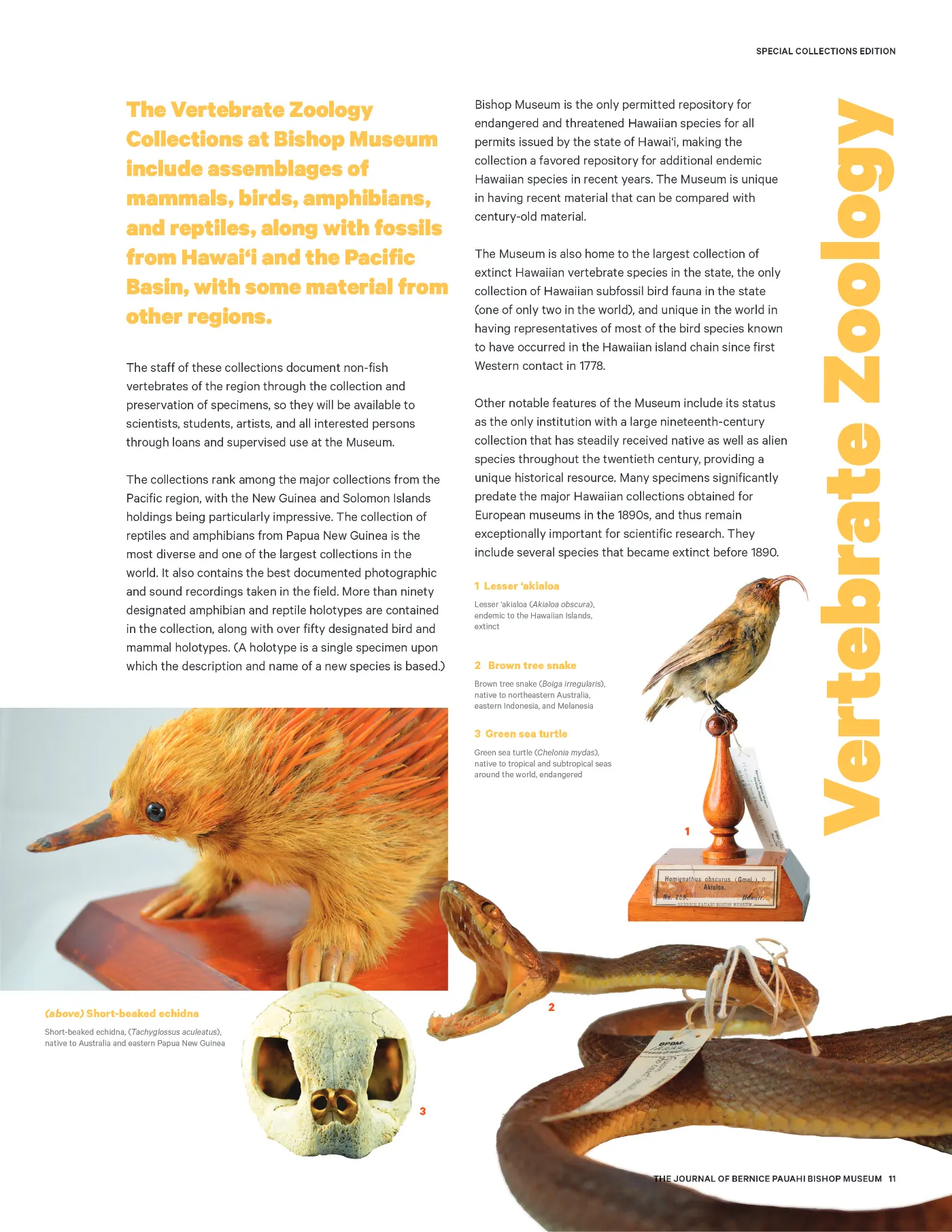 Ka ʻElele Summer 2019, page 11