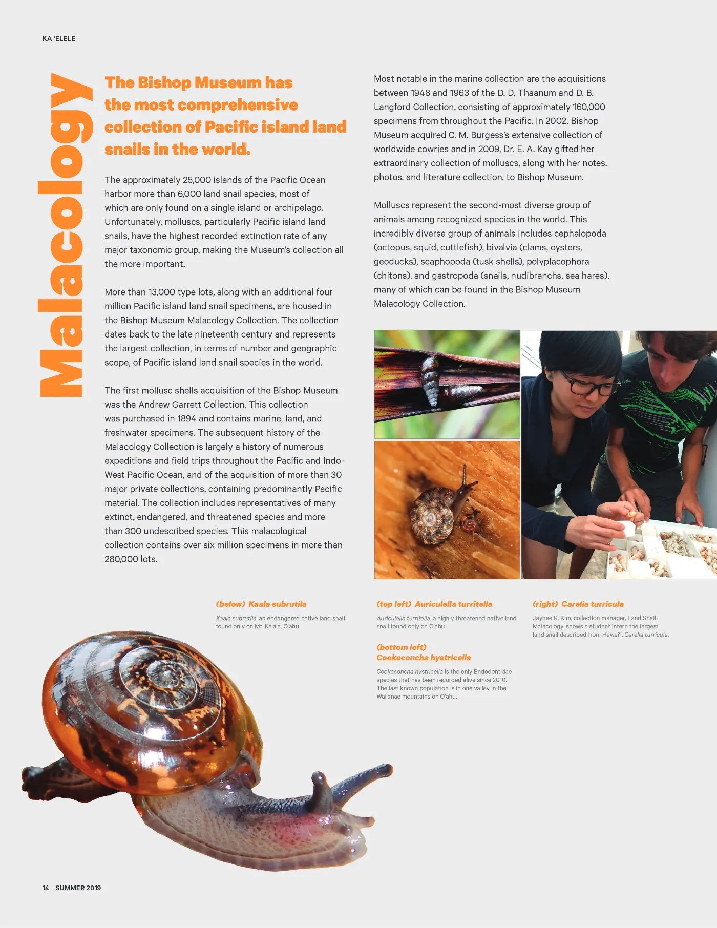Ka ʻElele Summer 2019, page 14
