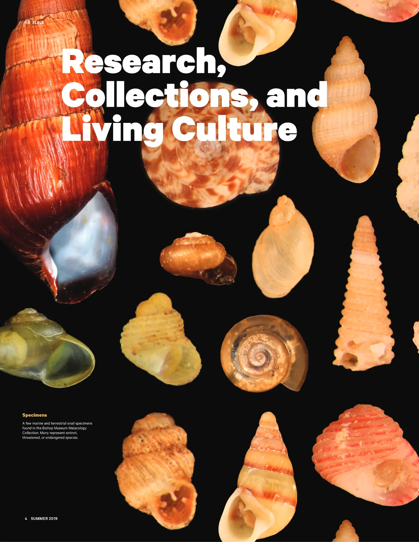 Ka ʻElele Summer 2019, page 4