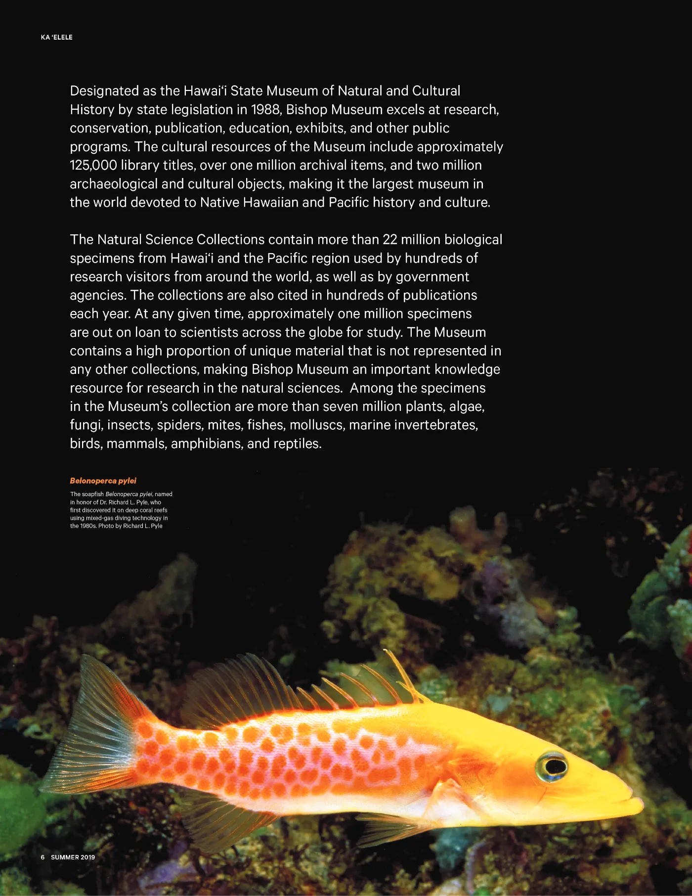 Ka ʻElele Summer 2019, page 6