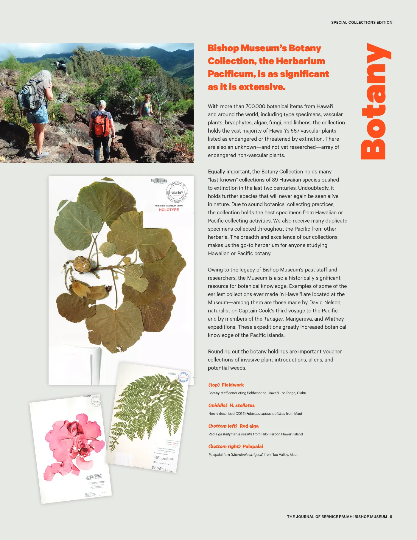 Ka ʻElele Summer 2019, page 9