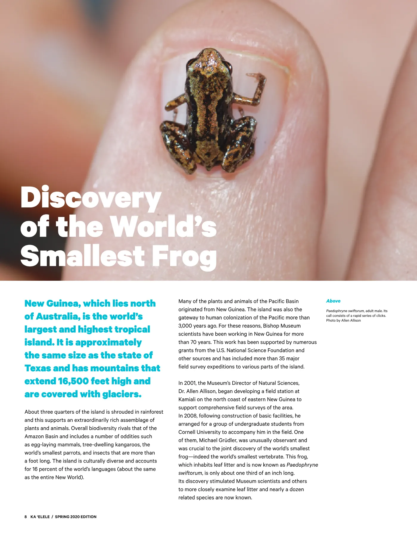 Ka ʻElele Spring 2020, page 8