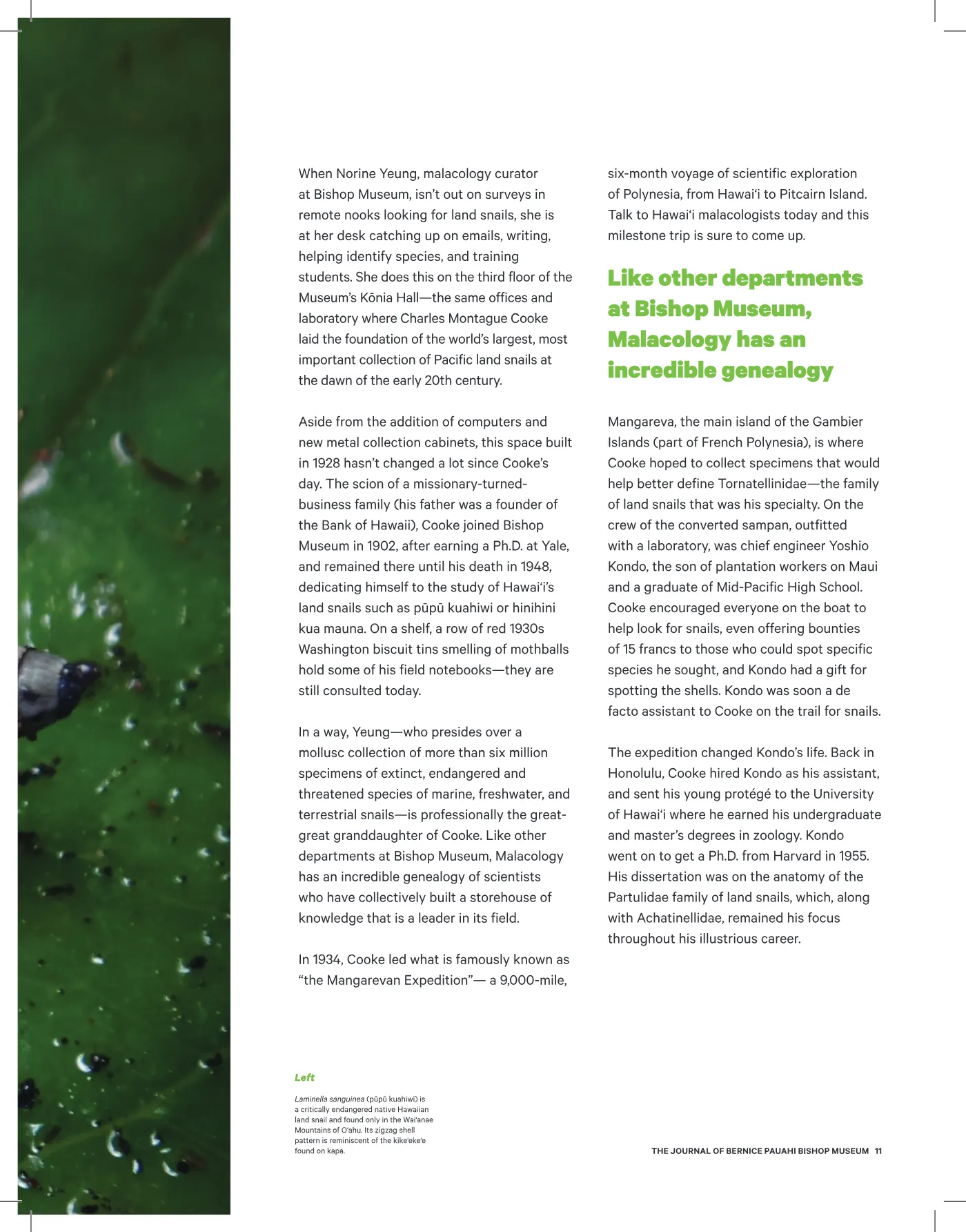 Ka ʻElele Fall 2021, page 11