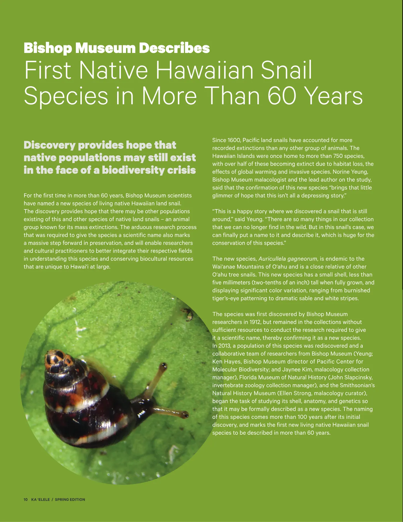 Ka ʻElele Spring 2021, page 10