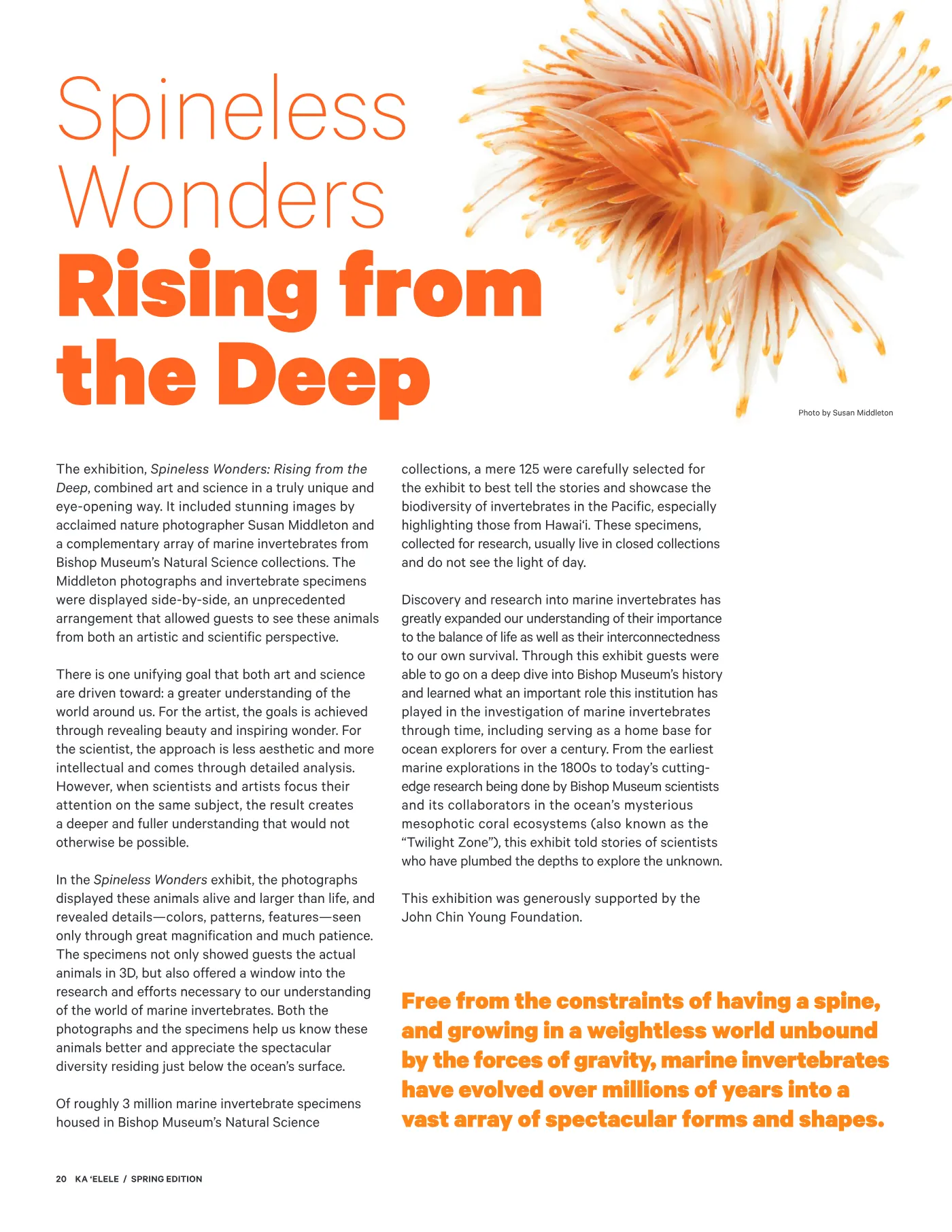 Ka ʻElele Spring 2021, page 20