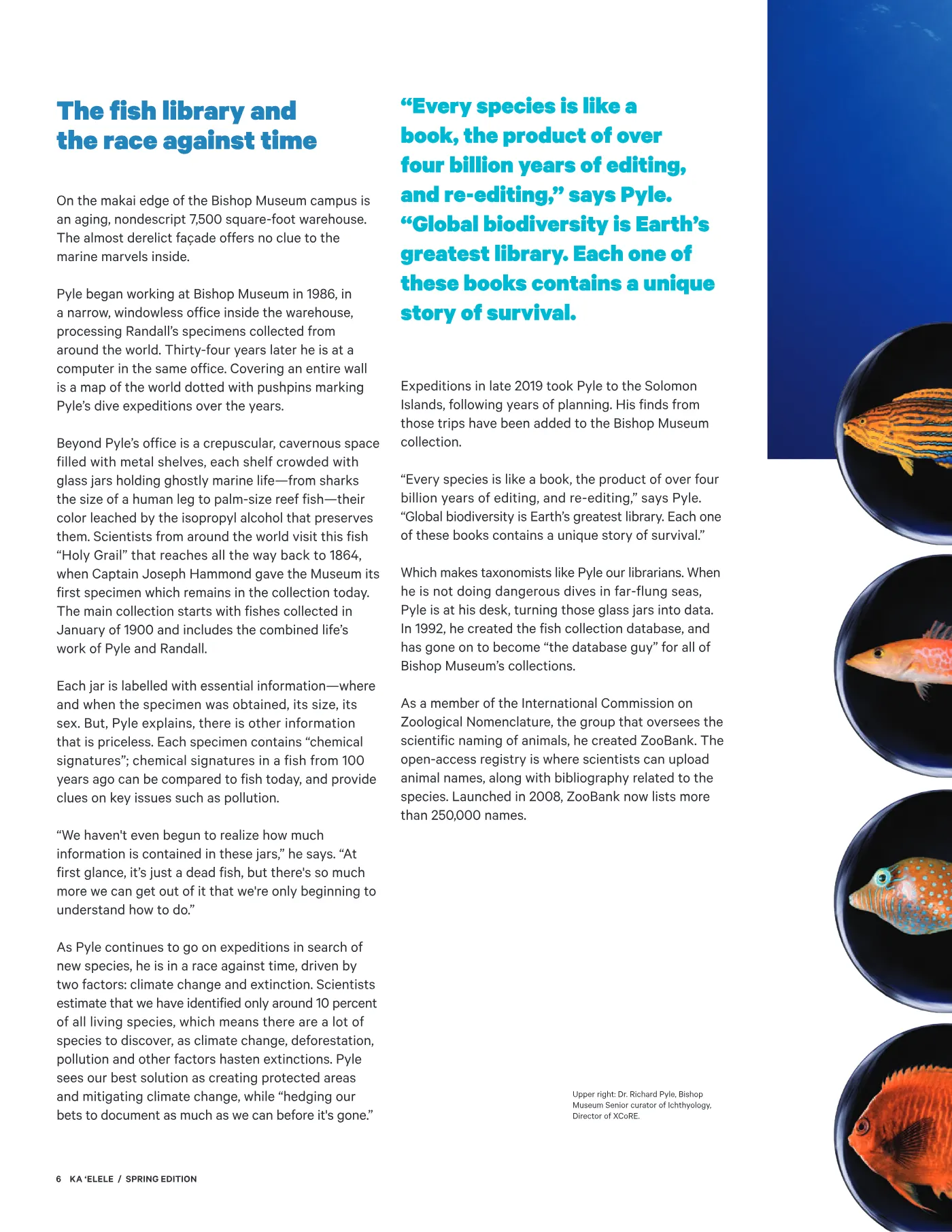 Ka ʻElele Spring 2021, page 6