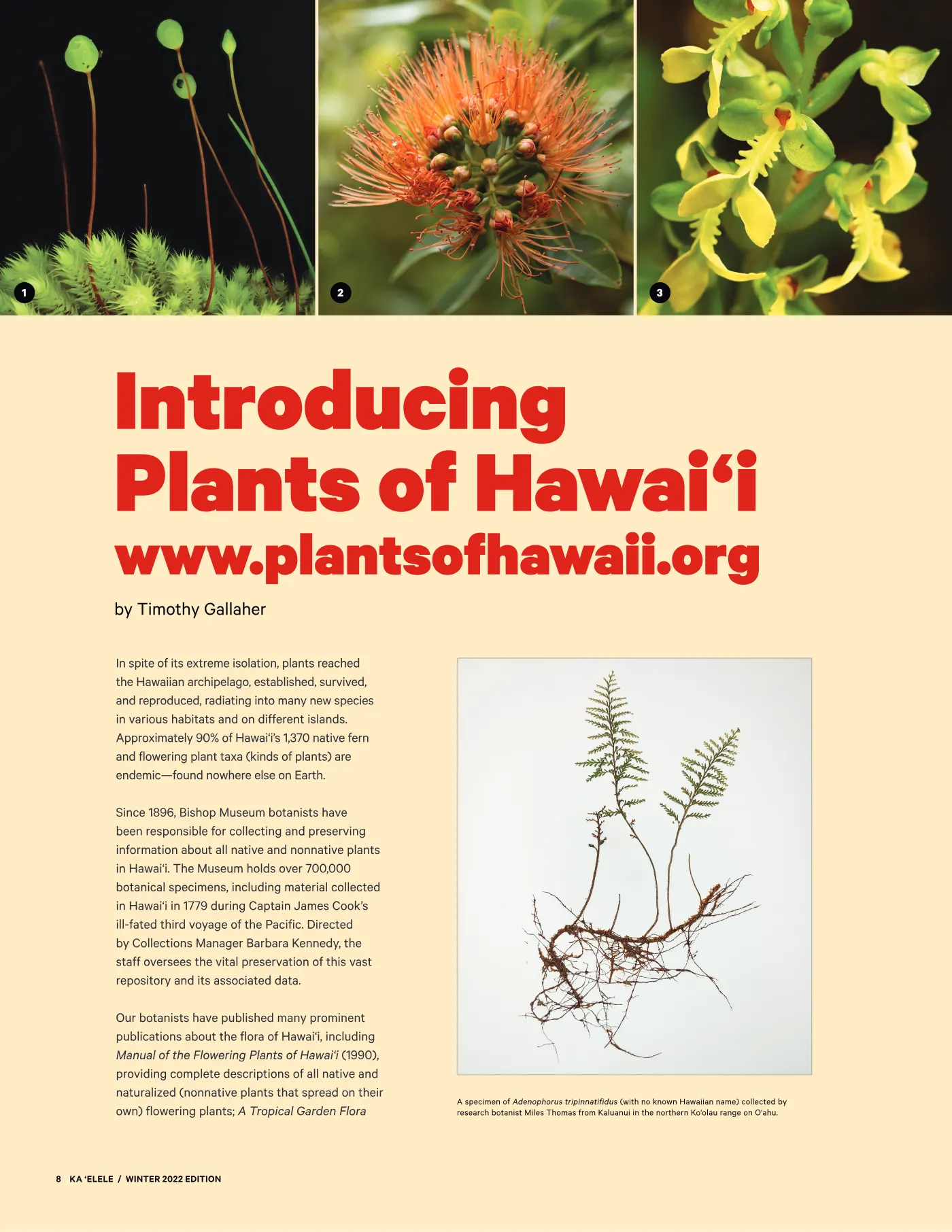 Ka ʻElele Winter 2022, page 8
