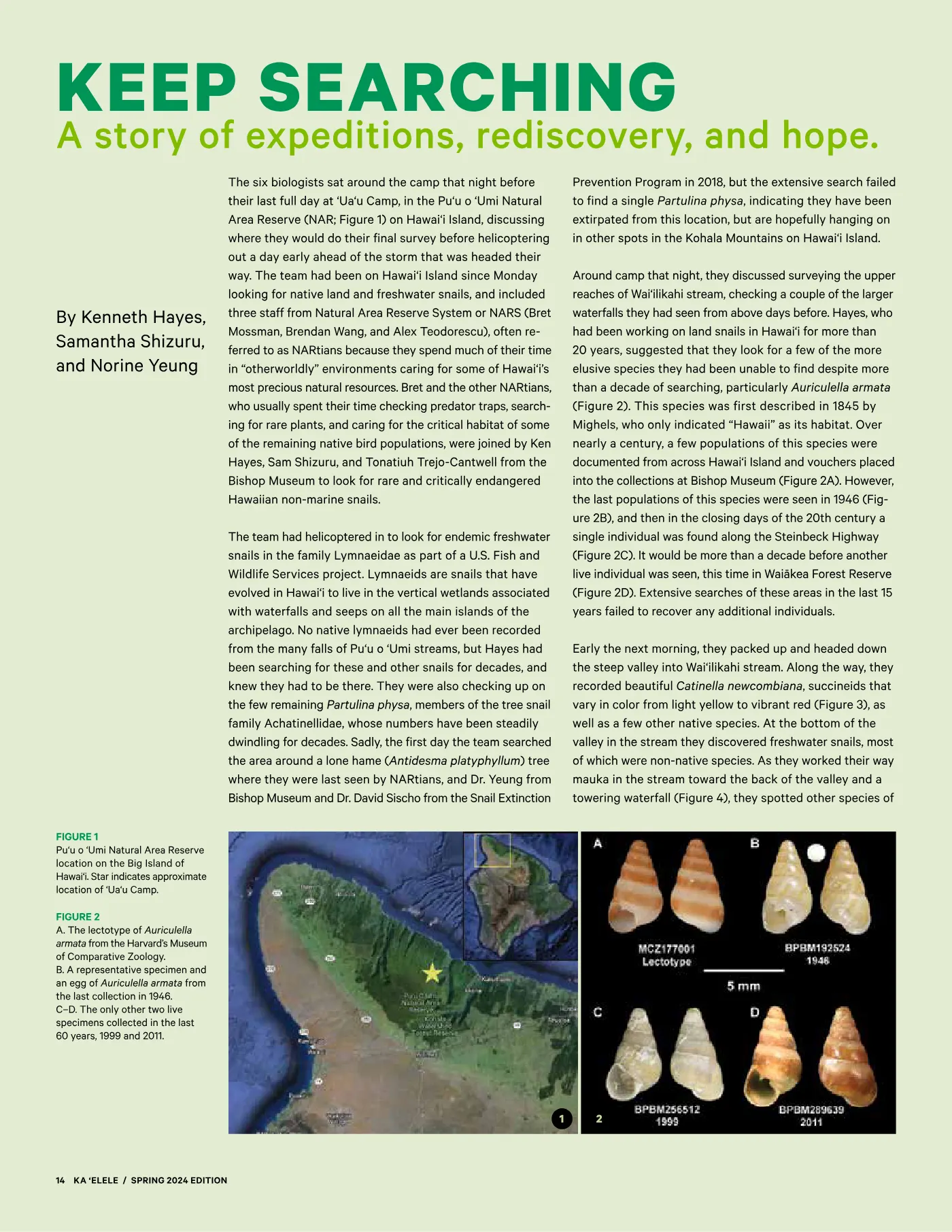 Ka ʻElele Spring 2024, page 14