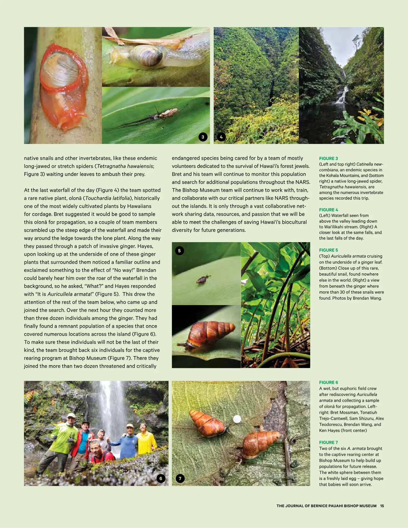 Ka ʻElele Spring 2024, page 15