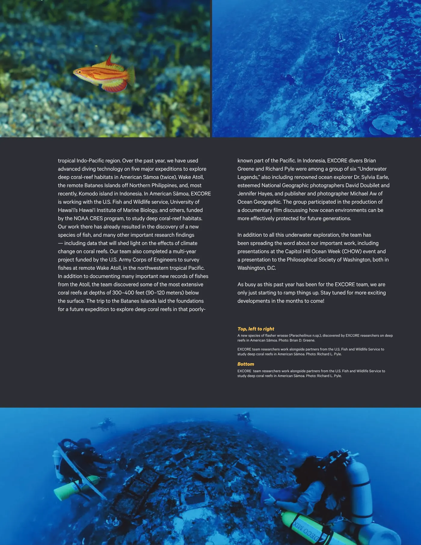 Ka ʻElele Winter 2024, page 11