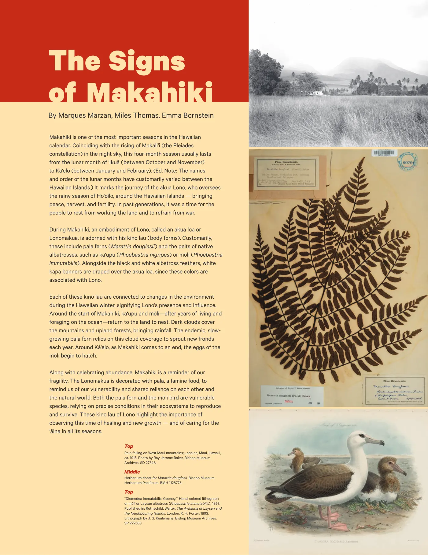 Ka ʻElele Winter 2024, page 9