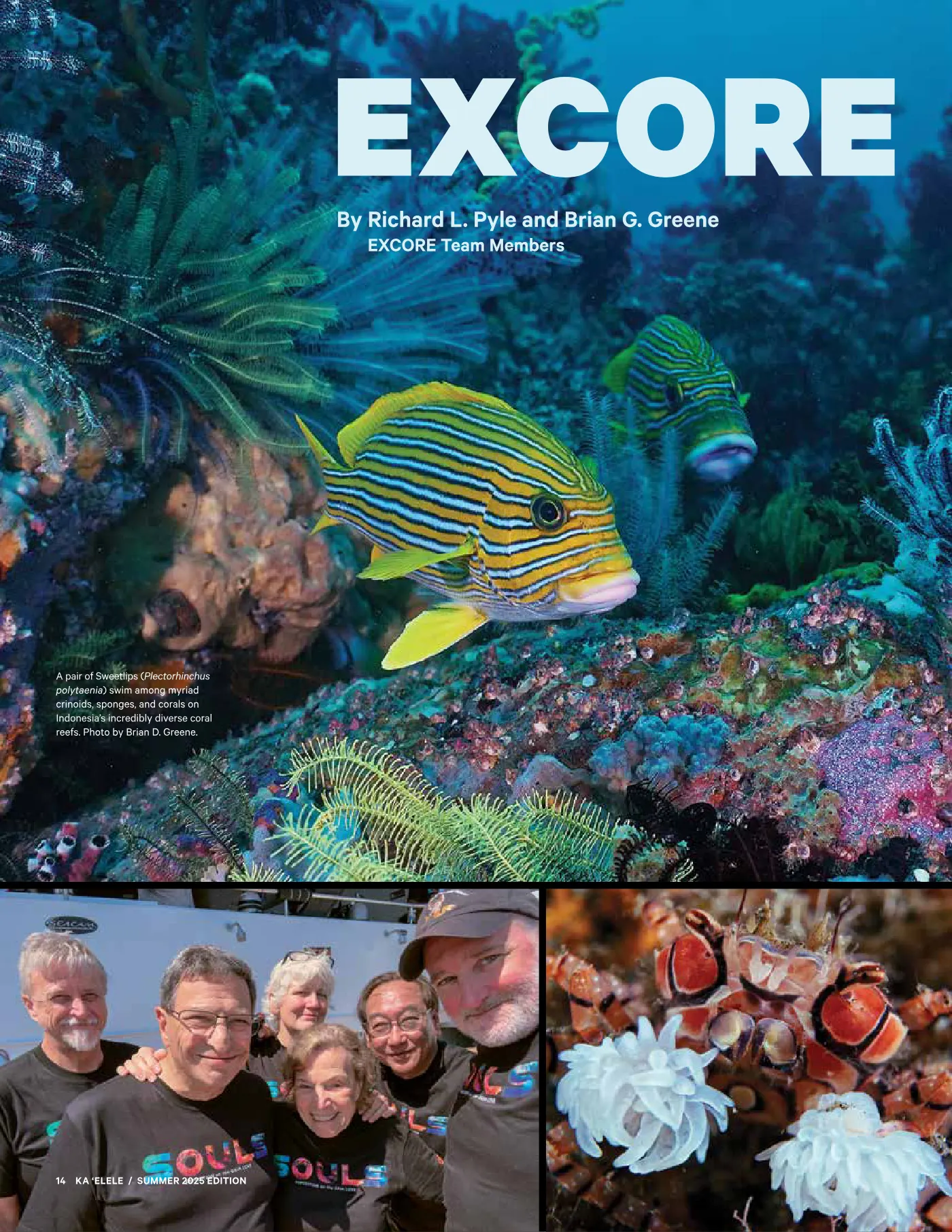 Ka ʻElele Summer 2025, page 14